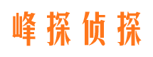 石嘴山市私人侦探